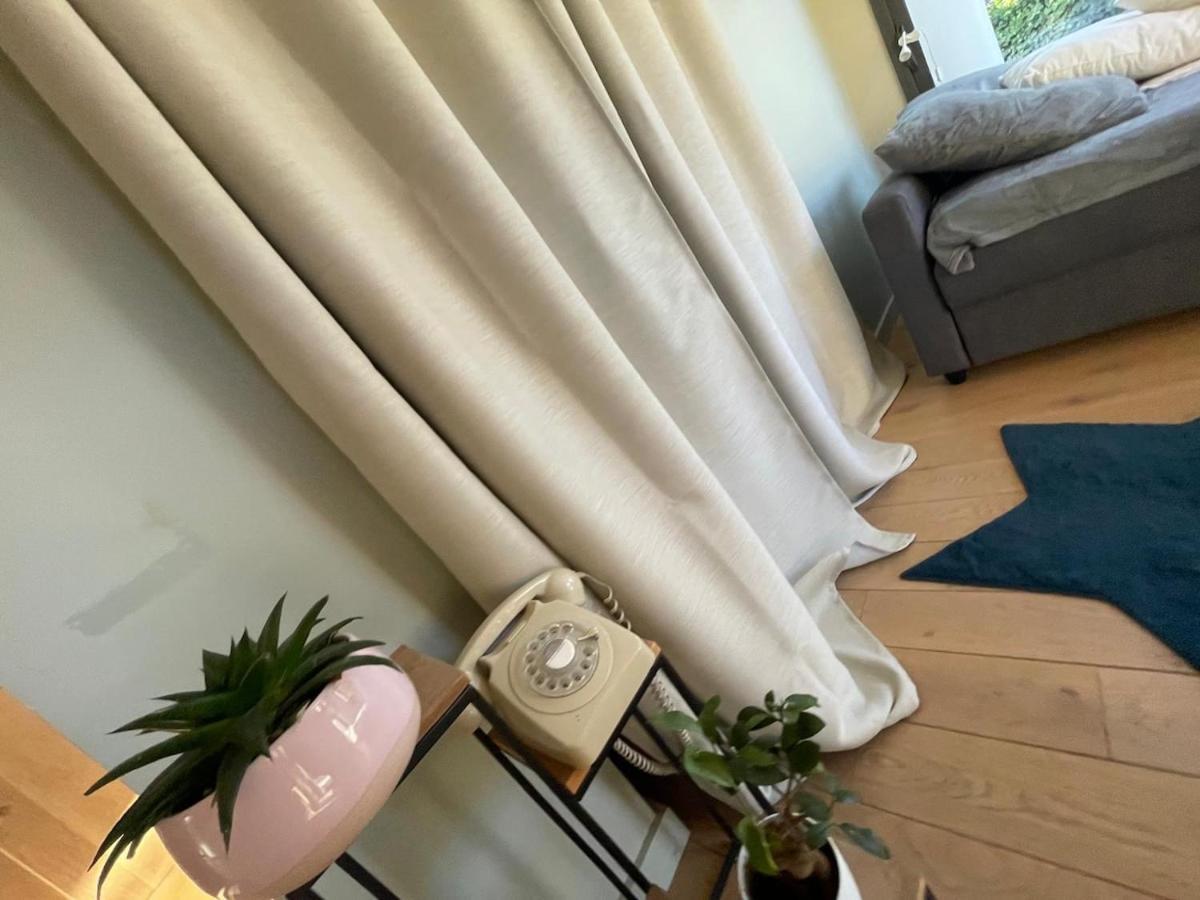 Villa Glass And Wood Designer With Garden In Centertown