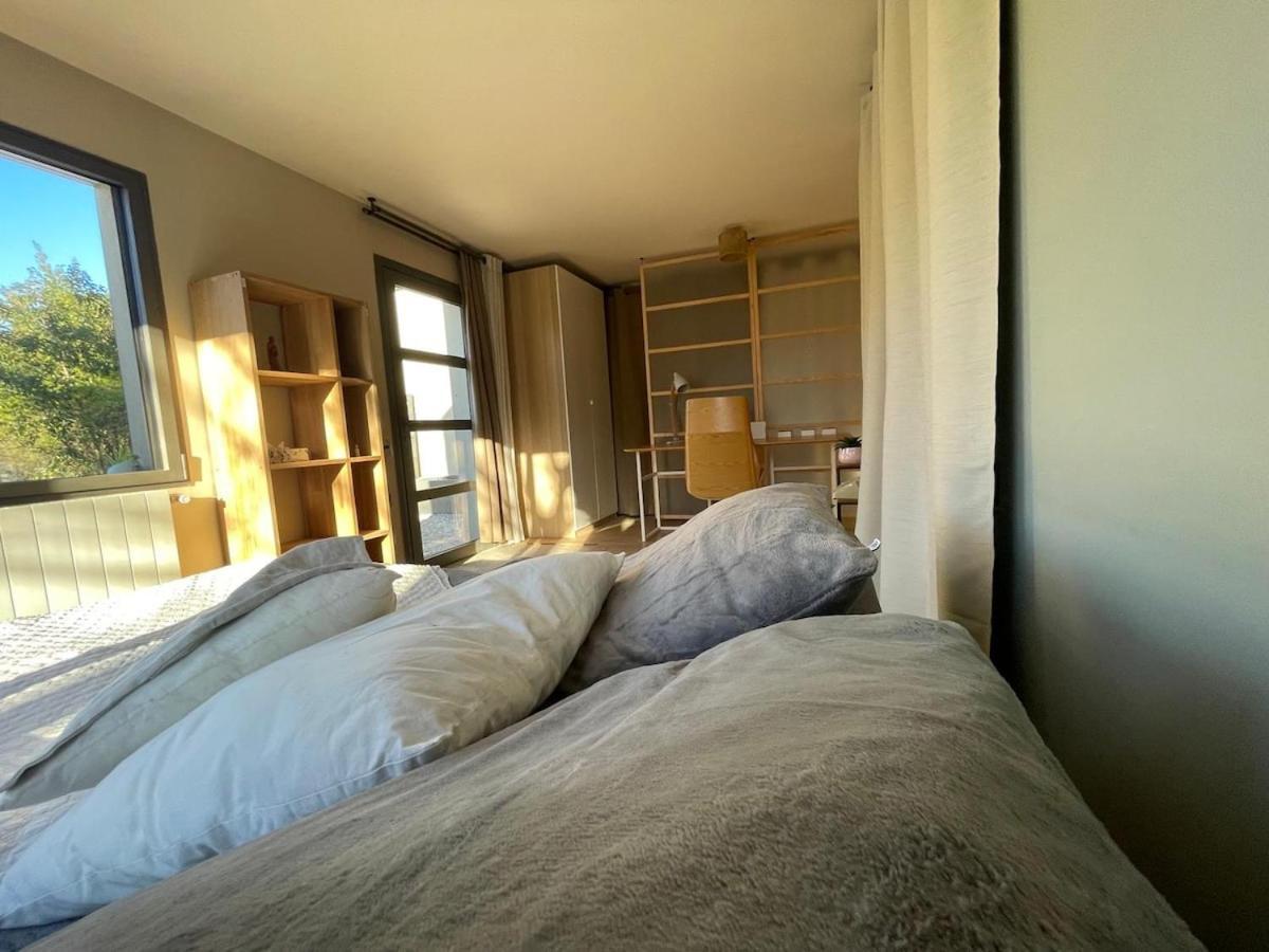 Glass And Wood Designer With Garden In Centertown *