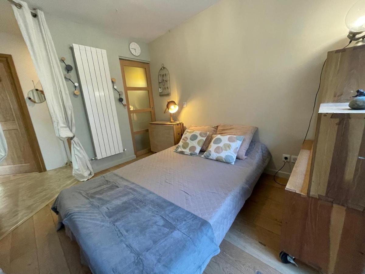 Glass And Wood Designer With Garden In Centertown * Montpellier