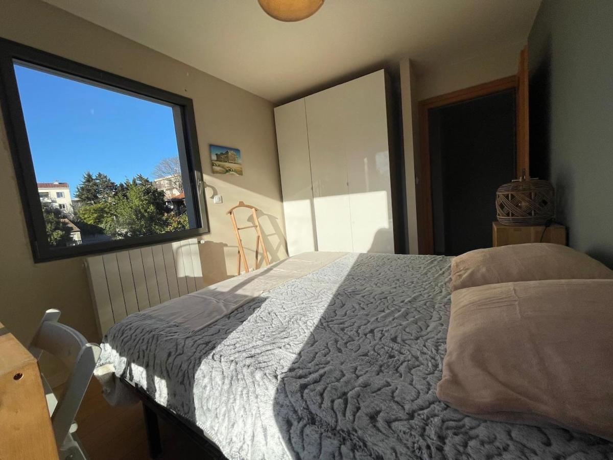 Glass And Wood Designer With Garden In Centertown Villa *