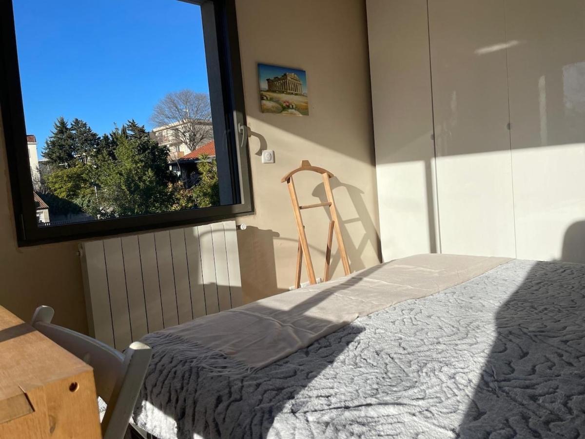 Villa Glass And Wood Designer With Garden In Centertown Montpellier