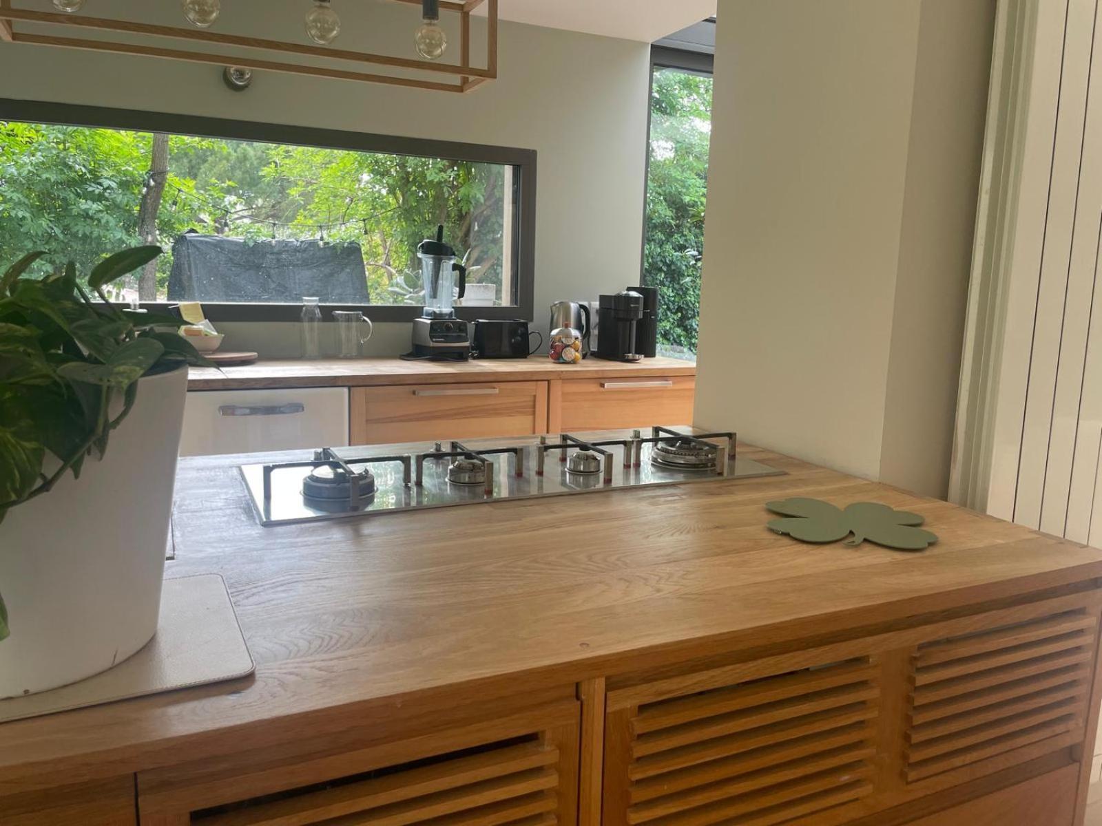 Glass And Wood Designer With Garden In Centertown Montpellier